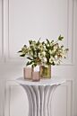 Design Shop Share Votive 4"x 4.75"