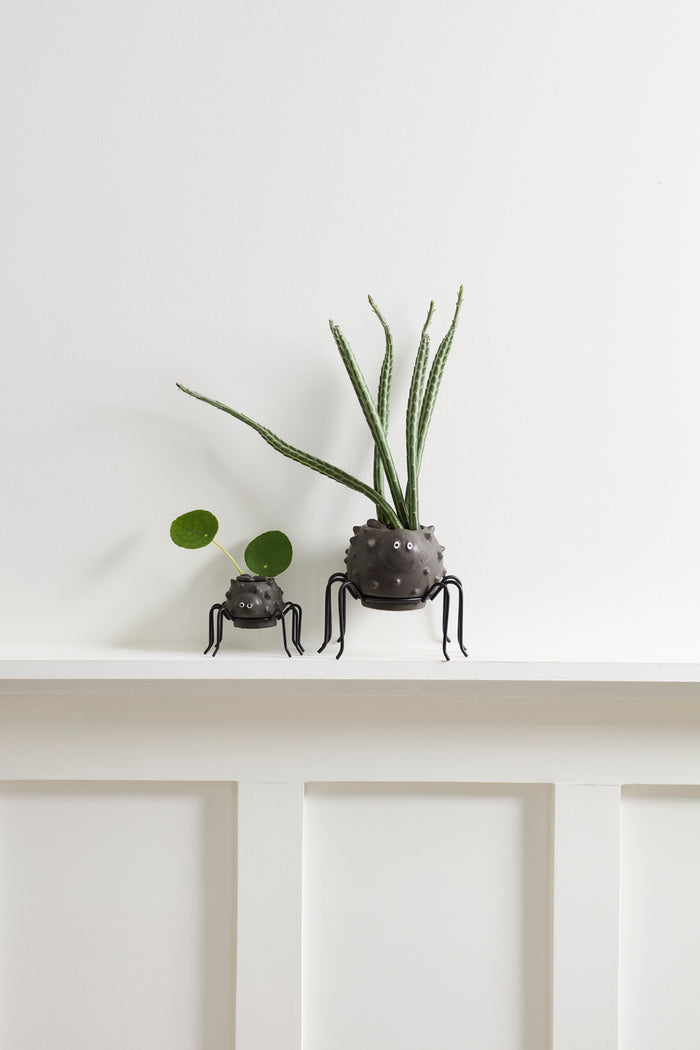 Two small black spider-shaped planters with green plants on a white surface.