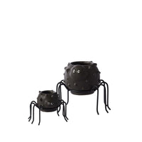 Design Shop Silly Spider Pot 4"x 3"