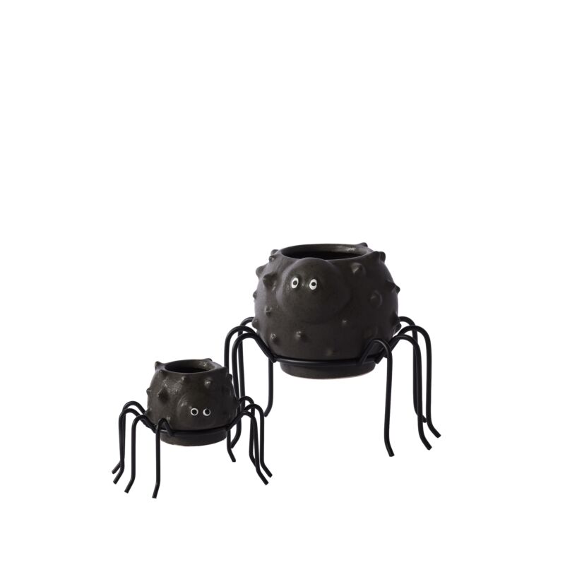 Design Shop Silly Spider Pot 2.5"x 1.5"