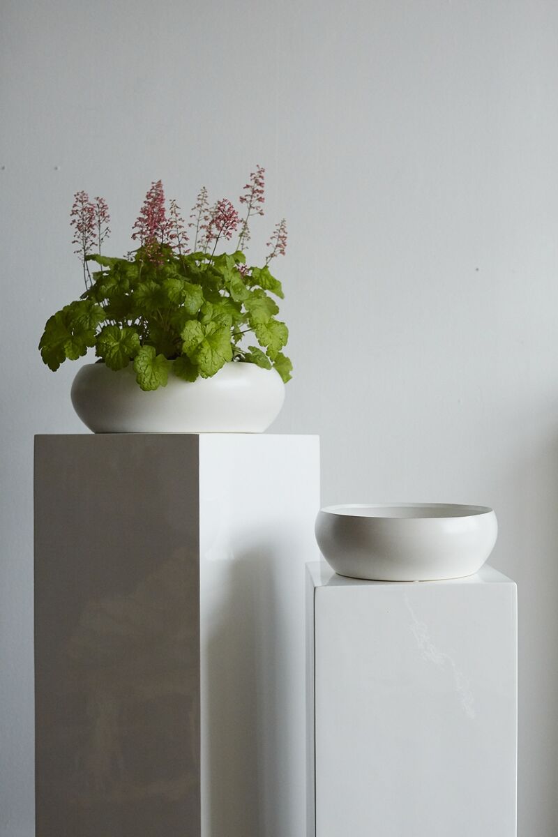Design Shop Simply Low Bowl 10.5"x 3.75"