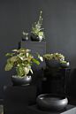 Design Shop Simply Angled Bowl 5.25"x 3.5", Set of 4