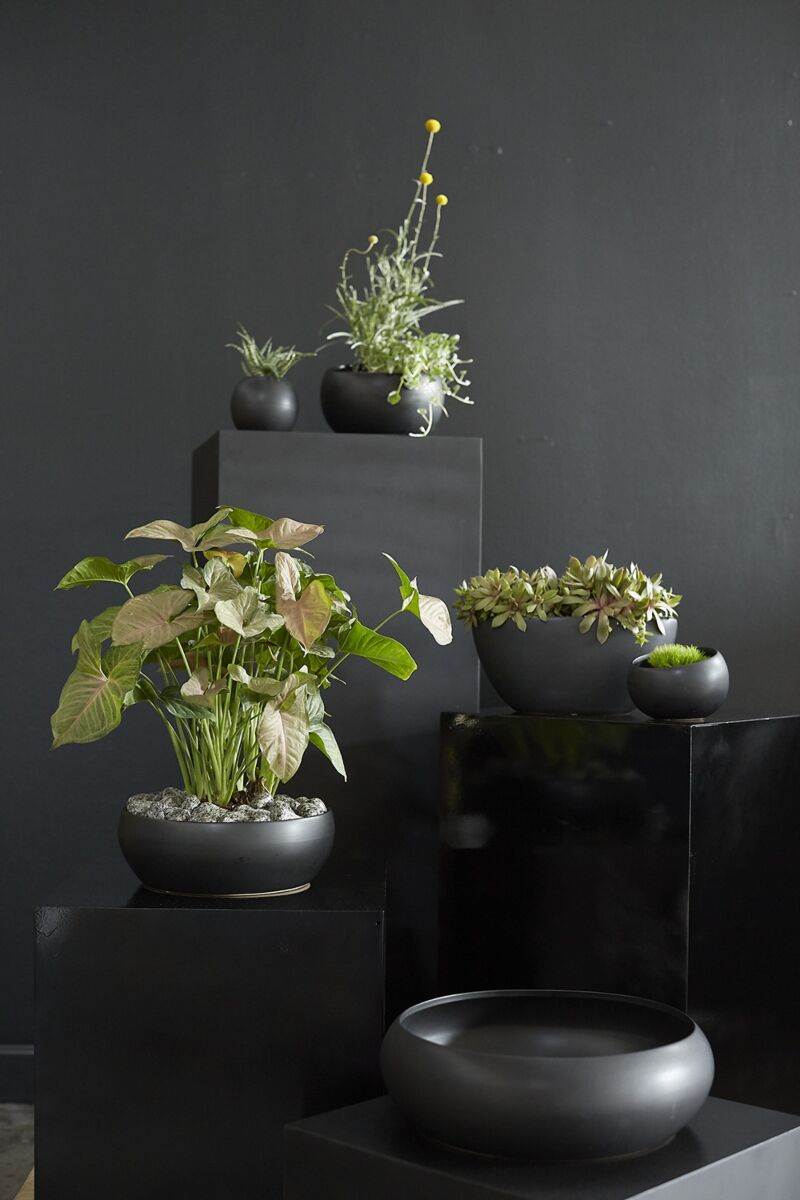 Design Shop Simply Angled Bowl 5.25"x 3.5", Set of 4