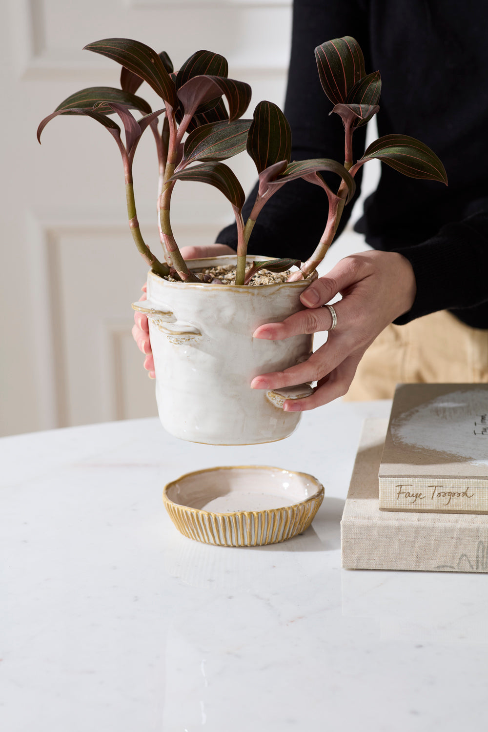 Design Shop Stepped Mushroom Pot with Saucer 7.75"x 6.75"