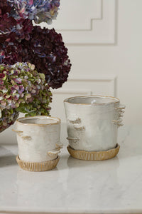 Design Shop Stepped Mushroom Pot with Saucer 7.75"x 6.75"