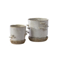 Design Shop Stepped Mushroom Pot with Saucer 7.75"x 6.75"