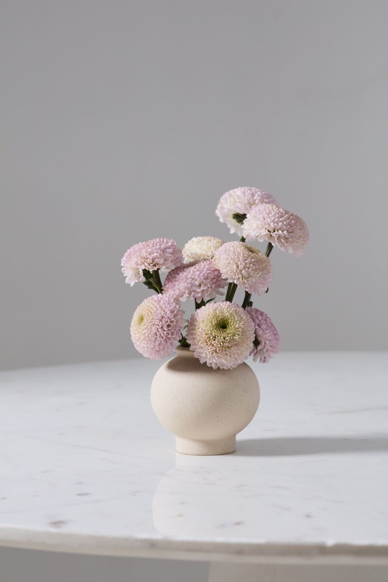 Design Shop Stockton Budvase 4.25"x 4.25", Set of 6