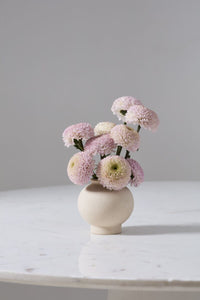 Design Shop Stockton Budvase 4.25"x 4.25", Set of 6