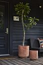 Design Shop Stratford Planter 16"x 17.25"