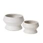 Design Shop Theo Compote 9.5"x 6"