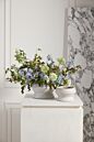 Design Shop Theo Compote 9.5"x 6"