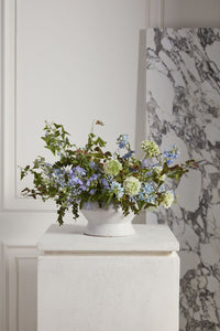 Design Shop Theo Compote 9.5"x 6"