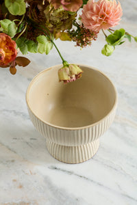 Design Shop Thorn Compote 6"x 5"