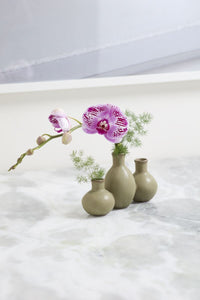 Design Shop Thyme Budvase 7.5"x 2.5"x 4.5", Set of 2