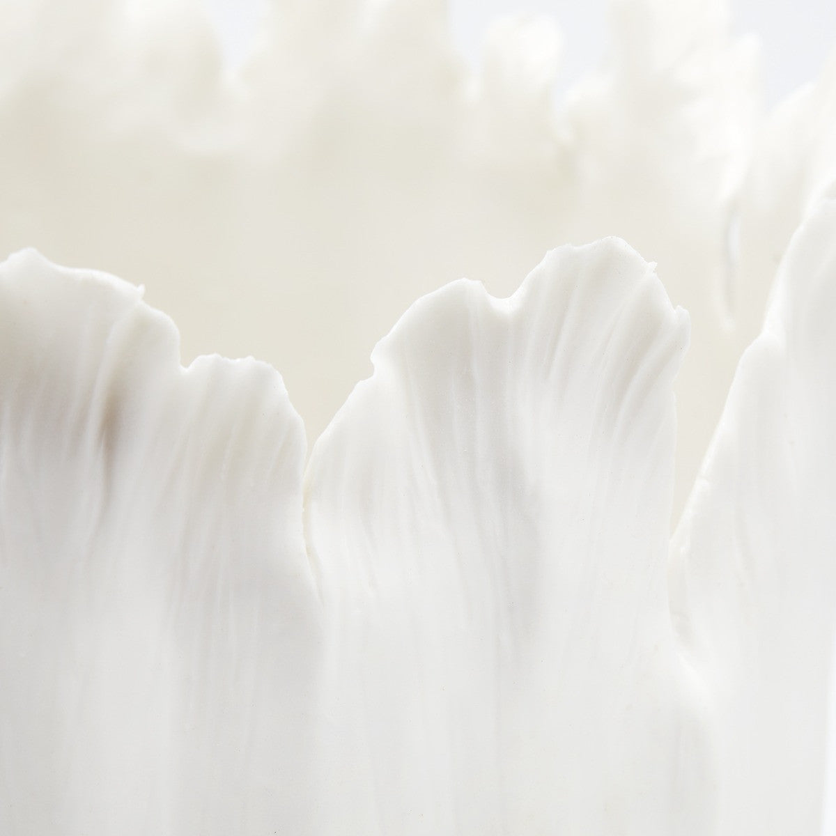 Villa & House Tulip Vase, Blanc de Chine