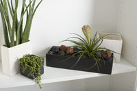Design Shop Urban Planter 13.75"x 3"x 3", Set of 2
