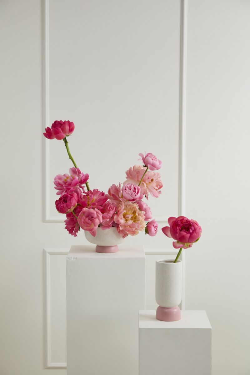 Design Shop Valeria Compote 8.25"x 5", Set of 2