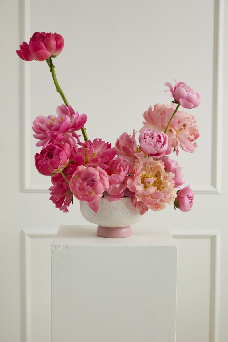 Design Shop Valeria Compote 8.25"x 5", Set of 2