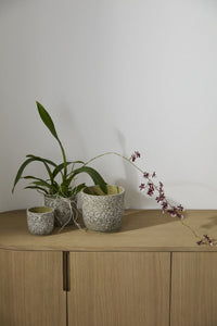 Design Shop Verde Pot 5.5"x 5", Set of 2