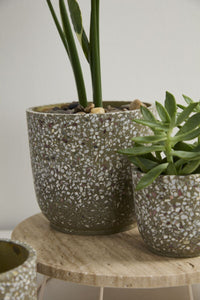 Design Shop Verde Pot 5.5"x 5", Set of 2