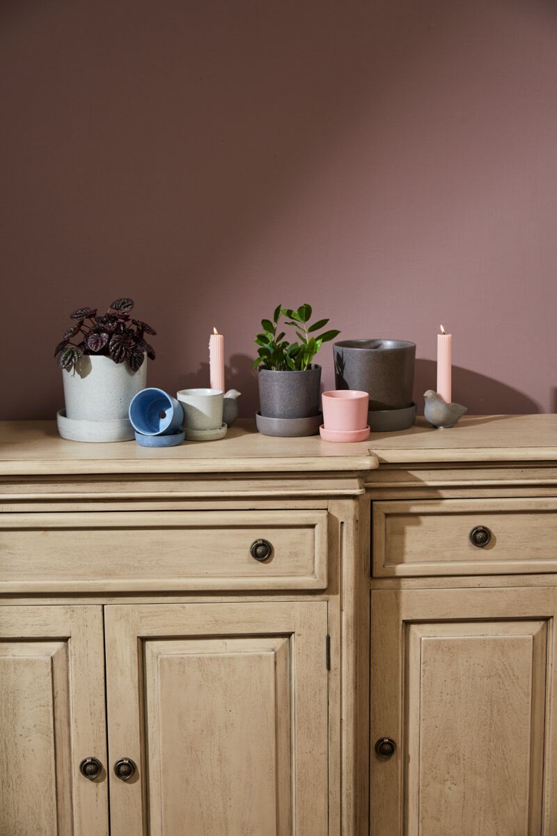Design Shop Watson Pot with Saucer 5.25"x 5"