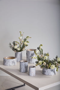 Design Shop Birch Bowl White 10"x 4.7"