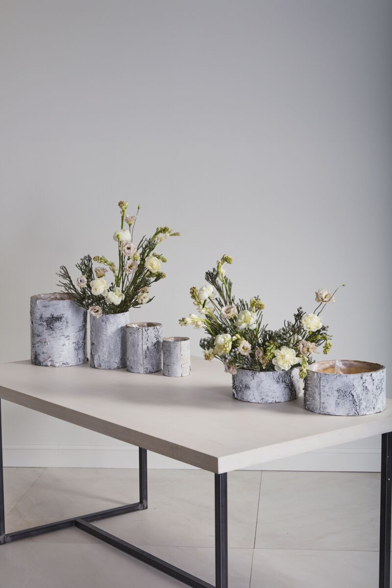 Design Shop Birch Bowl White 10"x 4.7"