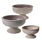 Design Shop Winnie Compote 7"x 4"