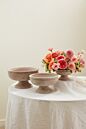 Design Shop Winnie Compote 7"x 4"