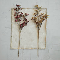 Design Shop Faux Berry Stem, Cream & Tan Color