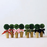 Design Shop Dried Boxwood Tree in Terra-Cotta Pot with Red Velvet Bow