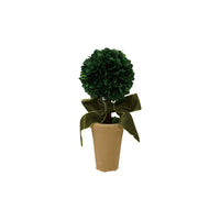 Design Shop Dried Boxwood Tree in Terra-Cotta Pot with Green Velvet Bow