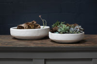 Design Shop Zane Bowl 15.5"x 4.25"