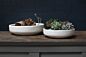 Design Shop Zane Bowl 11.75"x 3.25"