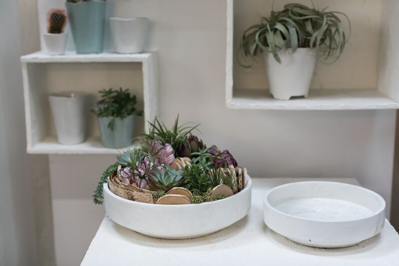Design Shop Zane Bowl 11.75"x 3.25"