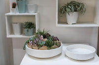 Design Shop Zane Bowl 11.75"x 3.25"