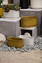 Design Shop Zelle Planter with Saucer 8"x 4"x 4.5"