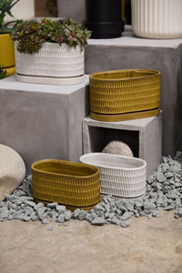Design Shop Zelle Planter with Saucer 8"x 4"x 4.5"