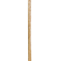 Regina Andrew - 14-1006AGL - Two Light Floor Lamp - Le - Gold Leaf