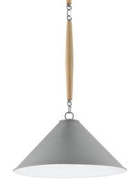 Currey and Company - 9000-0732 - One Light Pendant - Hiroshi Gray/Sugar White/Washed Wood